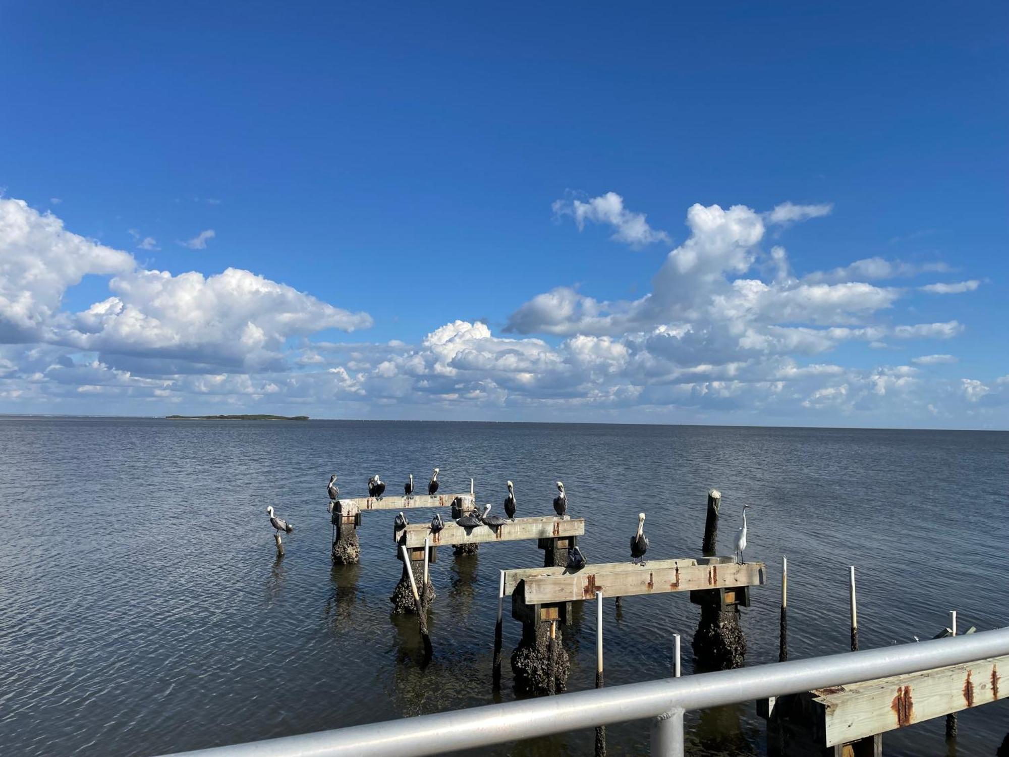 Cedar Key Florida Condo At Park Place Exteriör bild