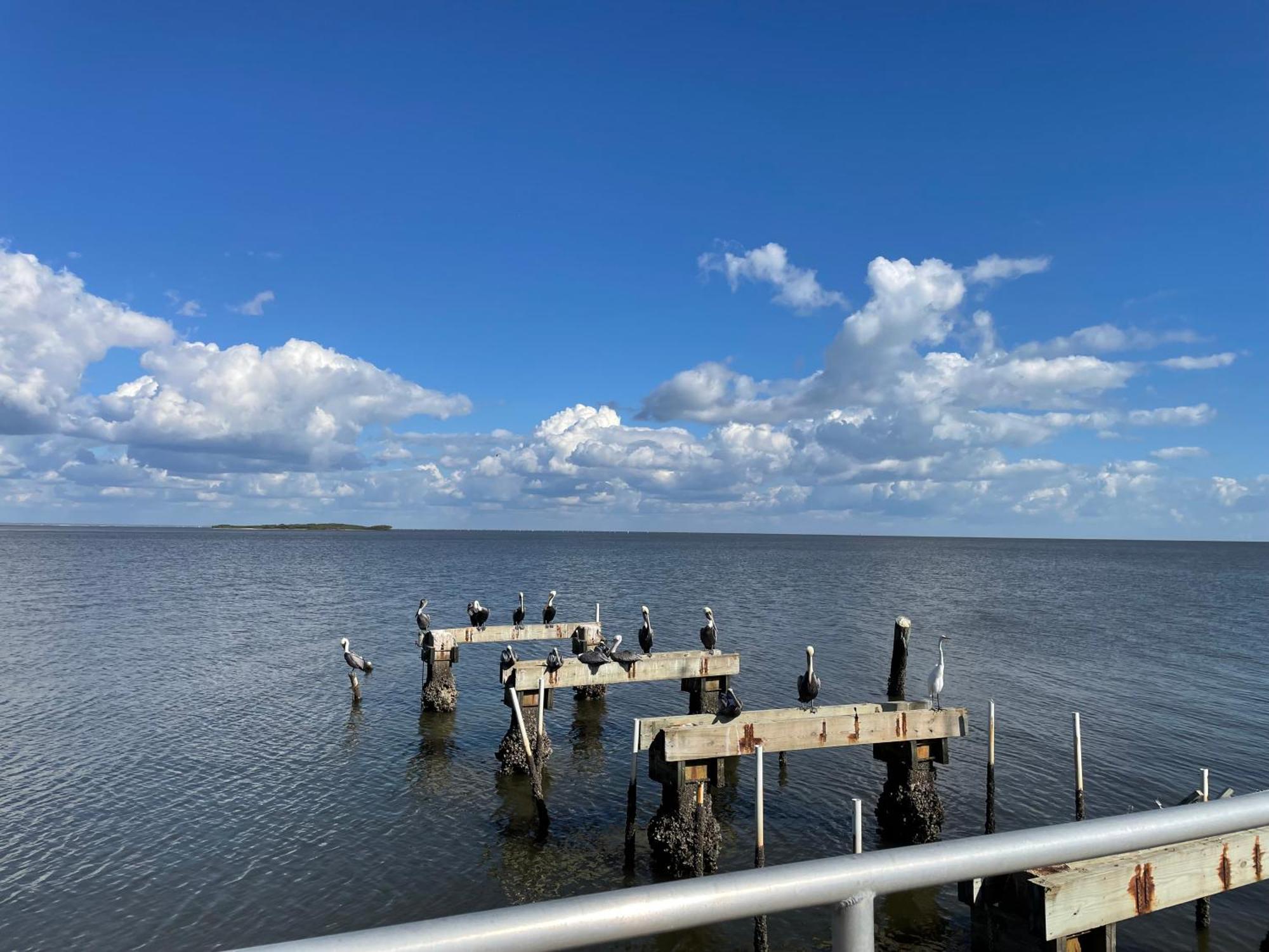 Cedar Key Florida Condo At Park Place Exteriör bild